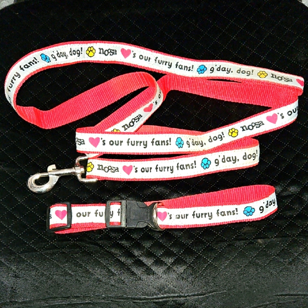 Nosa Yogurt Dog 6' Leash & Collar Set NEW 1" wide G'Day Dog colorful